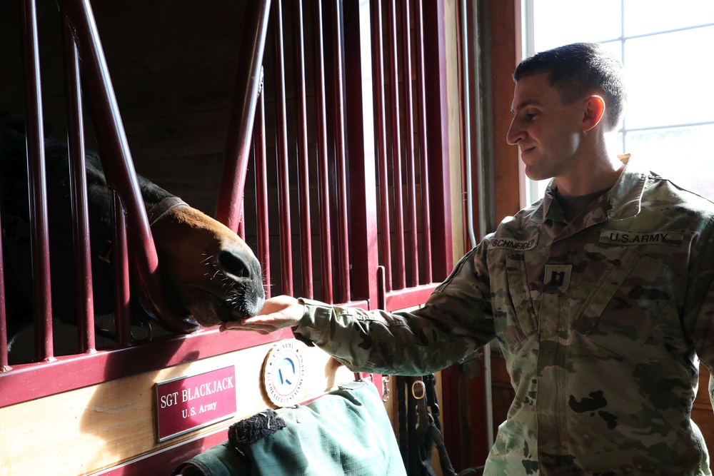 1st TSC Spouses Visit Sgt. Blackjack on 45-acre Farm