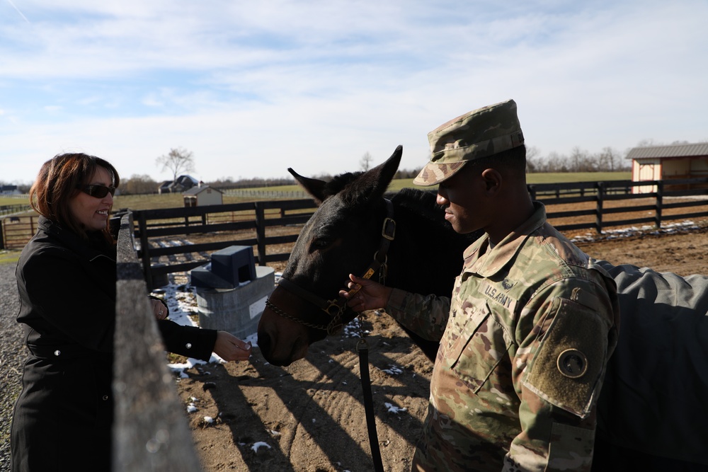 1st TSC Spouses Visit Sgt. Blackjack on 45-acre Farm