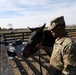 1st TSC Spouses Visit Sgt. Blackjack on 45-acre Farm