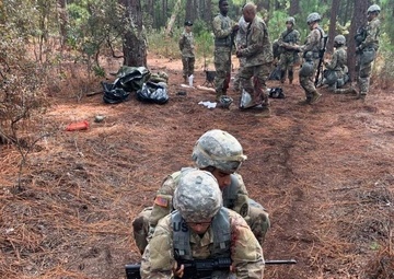 15 earn the right to be called expert