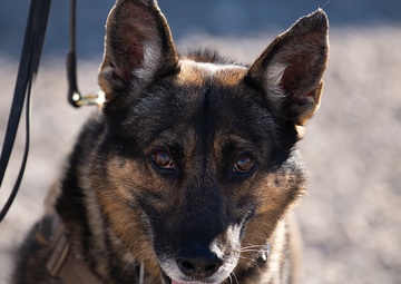 Defenders help ensure safety, security during Aviation Nation 2019