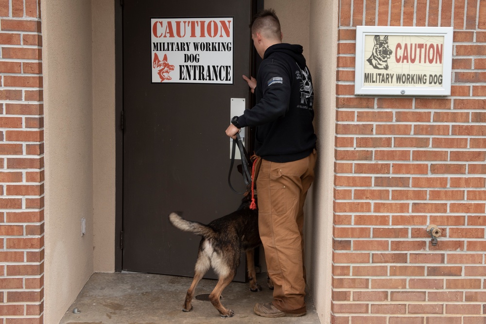 Vet Clinic cares for Team Moody animals