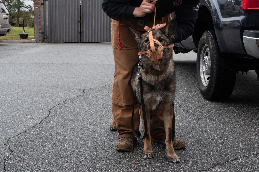 Vet Clinic cares for Team Moody animals