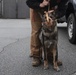 Vet Clinic cares for Team Moody animals
