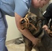 Vet Clinic cares for Team Moody animals