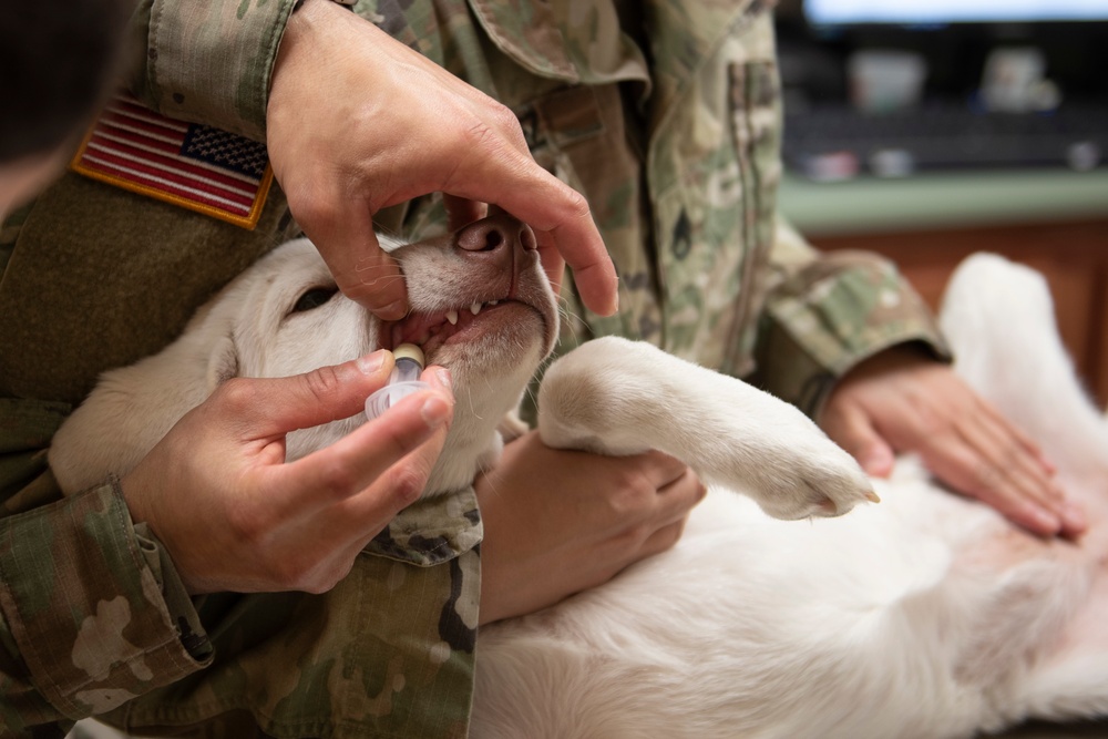 Vet Clinic cares for Team Moody animals