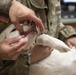 Vet Clinic cares for Team Moody animals