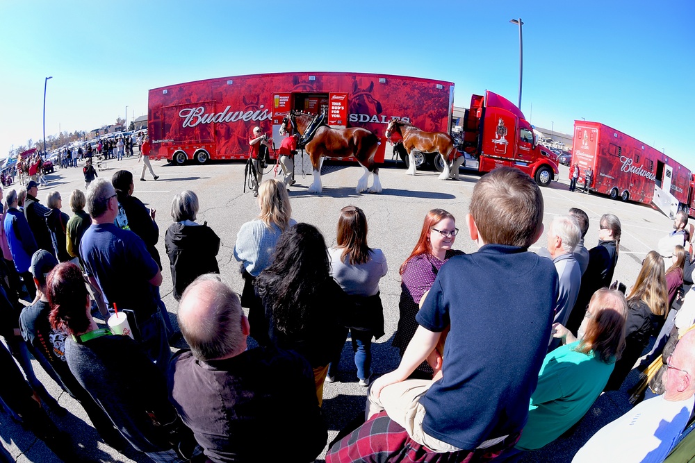 DVIDS - Images - World-famous Budweiser Clydesdales Visit Hill AFB ...