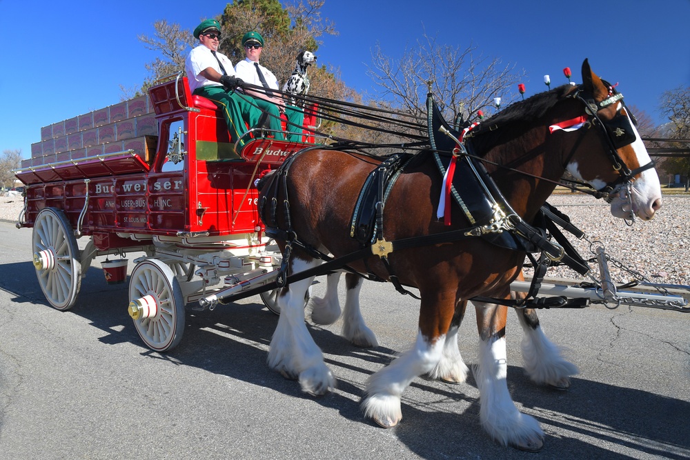 World-famous Budweiser Clydesdales visit Hill AFB