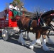 World-famous Budweiser Clydesdales visit Hill AFB