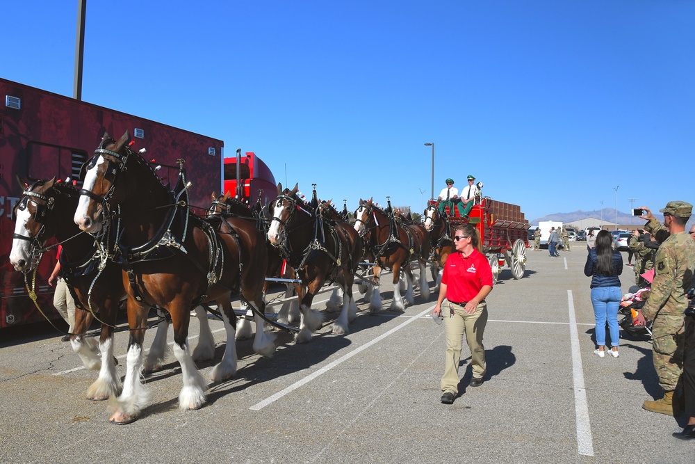 World-famous Budweiser Clydesdales visit Hill AFB