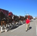 World-famous Budweiser Clydesdales visit Hill AFB