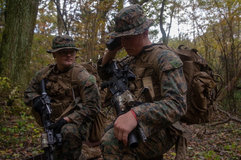 U.S. Marines conduct patrolling drills during exercise Fuji Viper 20-2