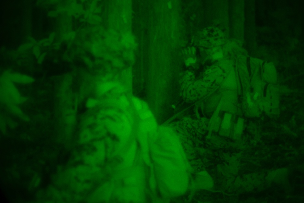 U.S. Marines conduct patrolling drills during exercise Fuji Viper 20-2