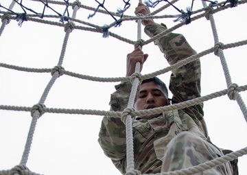 Dental-Public Health Command BWC