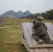 CLB Marines conduct battalion field exercise