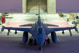 Blue Flag 2019 builds strategic partnerships, provides tactical training