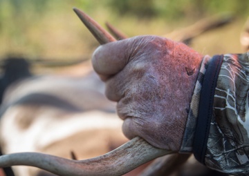MCAS Beaufort, TBR host Paralyzed Veterans of America deer hunt