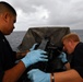 Gabrielle Giffords Shipboard Operations