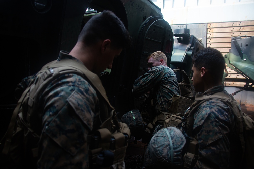 U.S. Marines participate in AAV Drills during exercise Tiger TRIUMPH