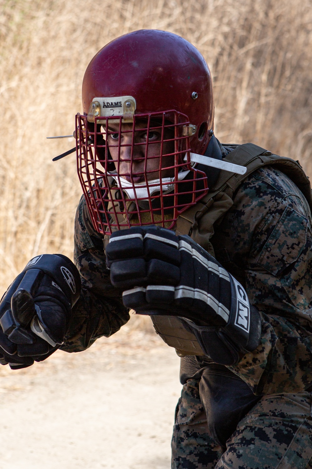U.S. Marines become martial arts instructors on Camp Pendleton