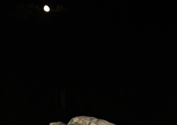 Cyber Blitz 2019 Watchdog II