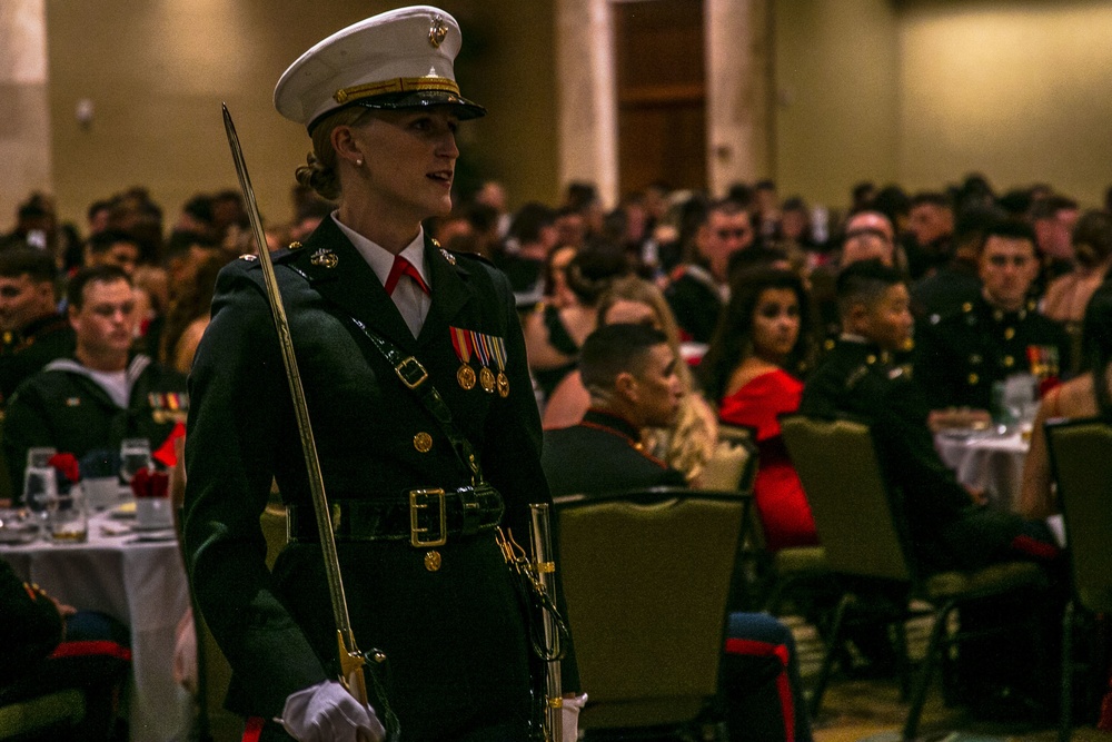 Lava Dogs Marine Corps Birthday Ball
