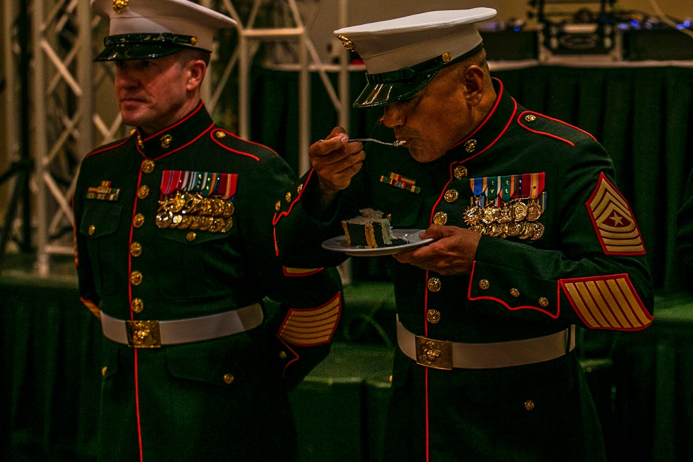 Lava Dogs Marine Corps Birthday Ball