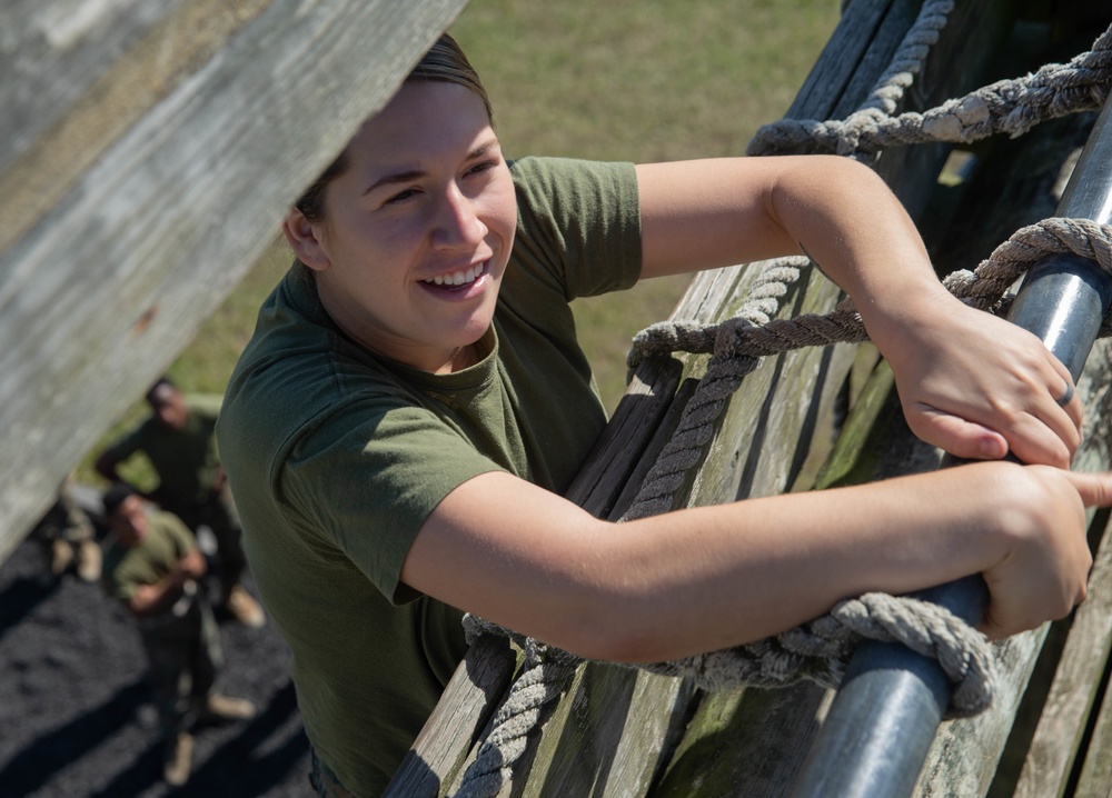 HMH-461 holds operational pause