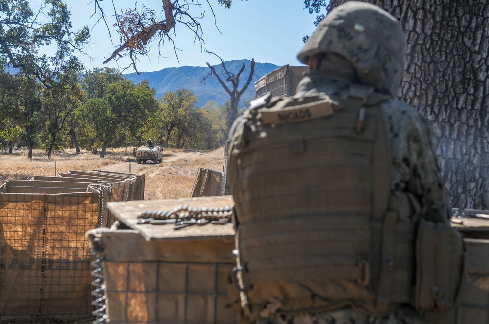 NMCB-3 Completes FTX 2019
