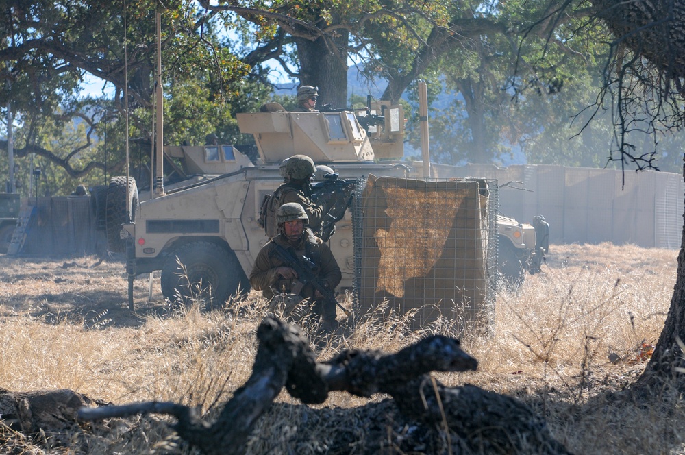 NMCB-3 Completes FTX 2019