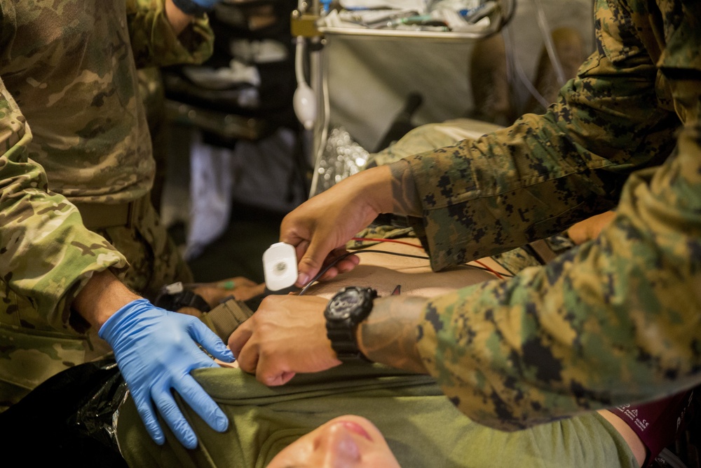CLB Naval Corpsman and Air Force Pararescuemen conduct mass casualty excercise