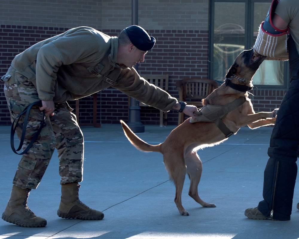 509th Security Forces Airmen visits Missouri Veterans Home, Warrensburg