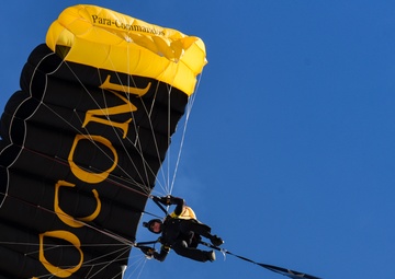 Aviation Nation 2019