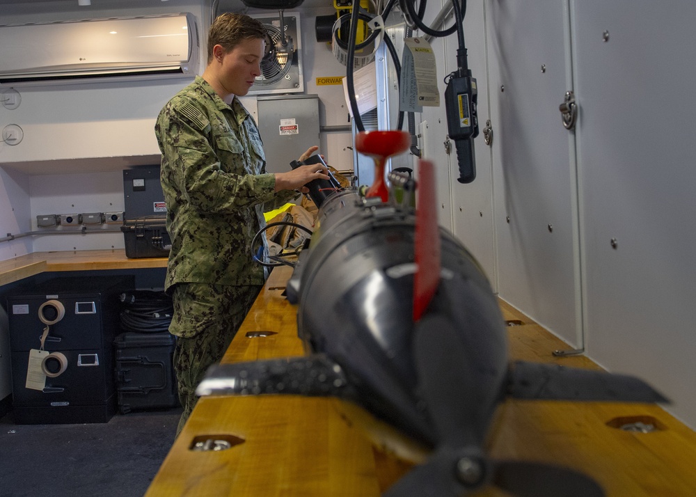 NAS Whidbey Island Provides Training Ground for Navy EODMU 1