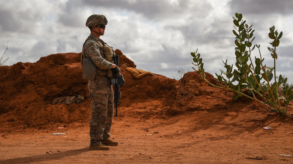 Task Force Warrior Soldiers Stand Watch in East Africa