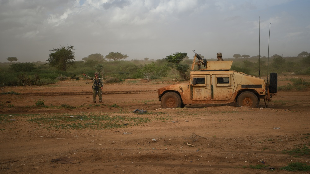 Task Force Warrior Soldiers Stand Watch in East Africa