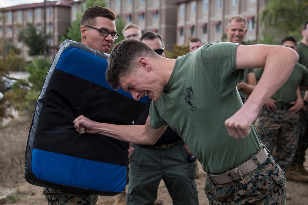 Camp Pendleton Marines come face-to-face with OC spray