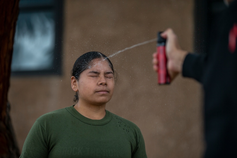 Camp Pendleton Marines come face to face with OC spray