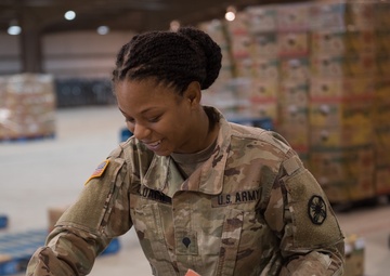 Soldiers, local community support Food for Families