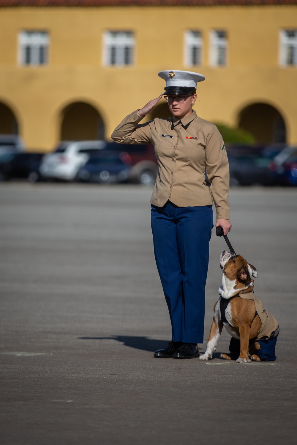 India Company Graduation