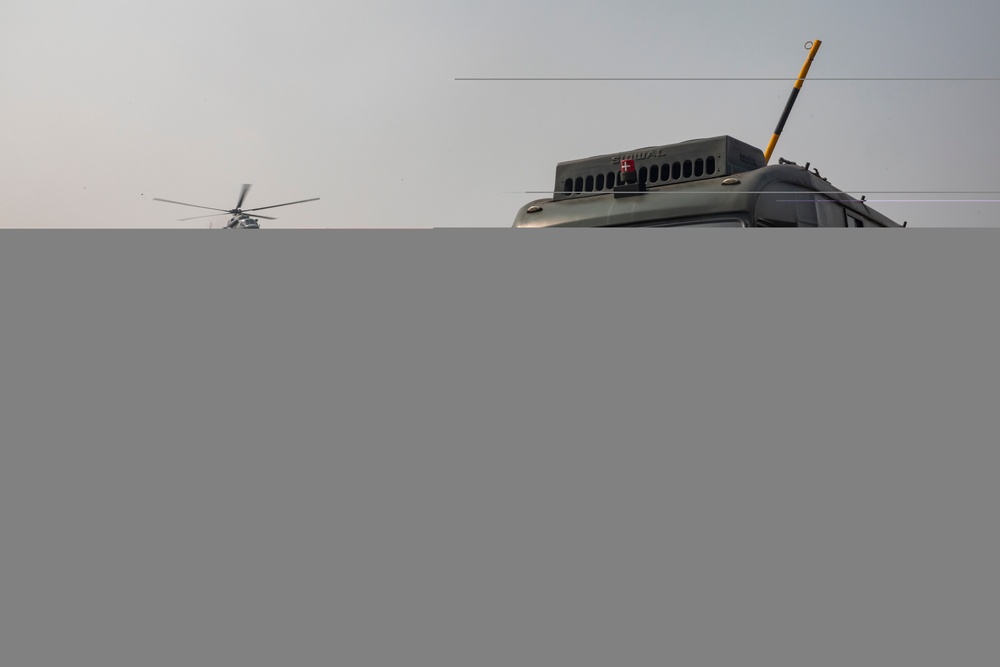 Tiger TRIUMPH: India-U.S. practice HADR