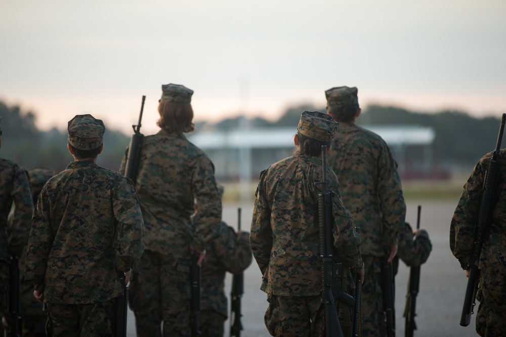 Papa Company Drill