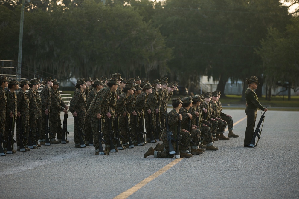 Papa Company Drill