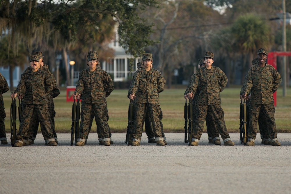 DVIDS - Images - Papa Company Drill [Image 4 of 12]