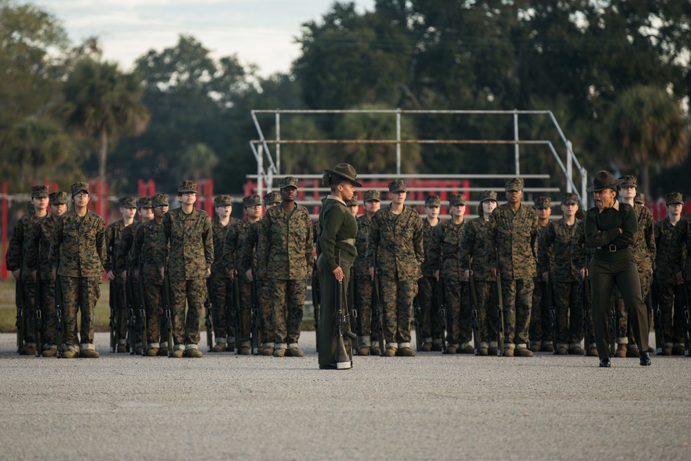 Papa Company Drill