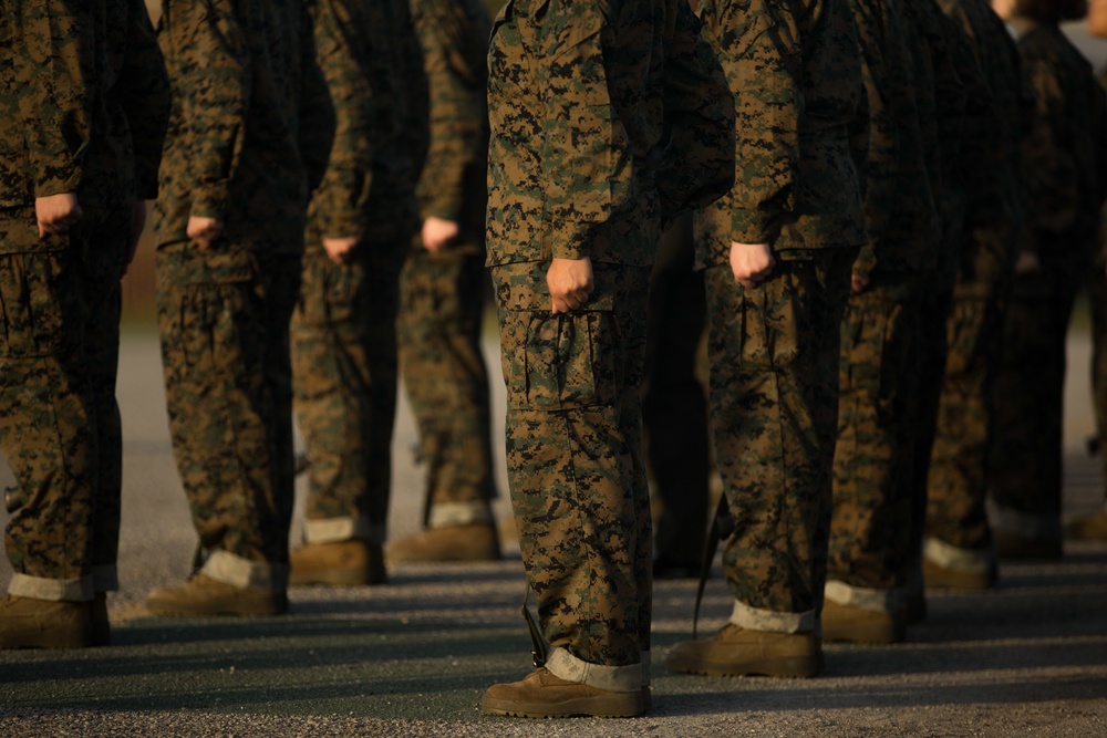 Papa Company Drill