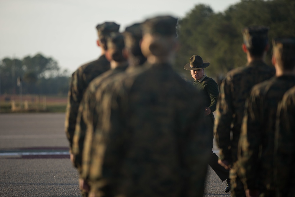 Papa Company Drill