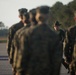 Papa Company Drill
