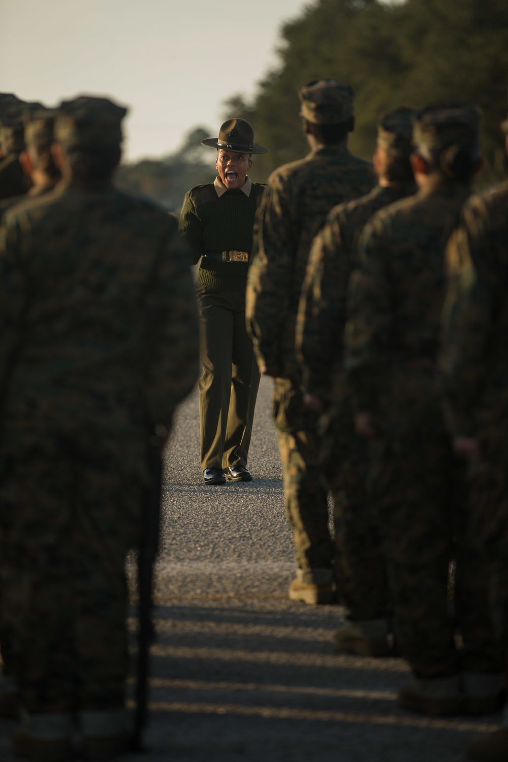 Papa Company Drill